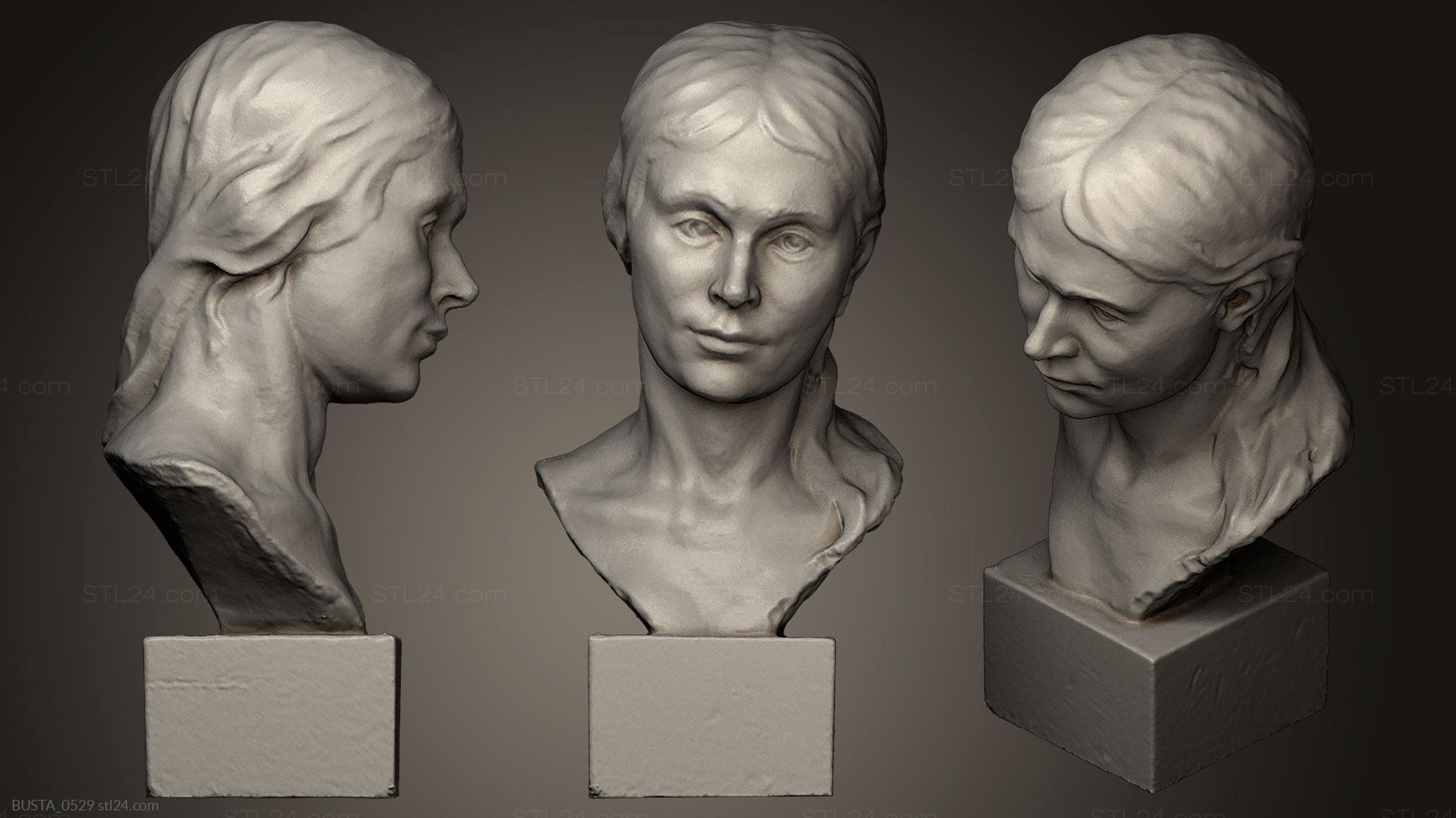 Бюсты и головы античные и исторические (Неизвестная Женщина 7, BUSTA_0529) 3D модель для ЧПУ станка